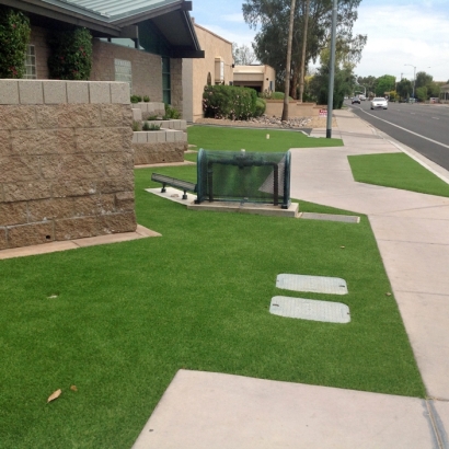 Artificial Grass in Aguila, Arizona