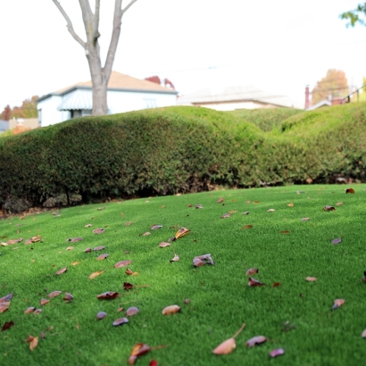 Synthetic Turf: Resources in Lake Havasu City, Arizona