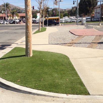 Outdoor Putting Greens & Synthetic Lawn in Nolic, Arizona