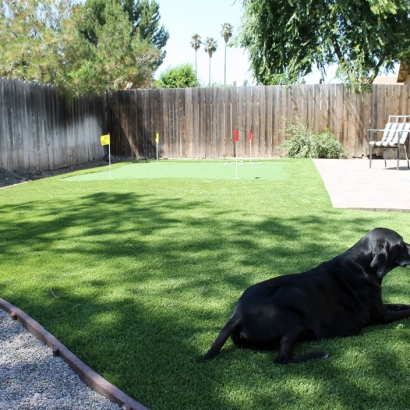 Putting Greens & Synthetic Lawn for Your Backyard in Santa Cruz, Arizona