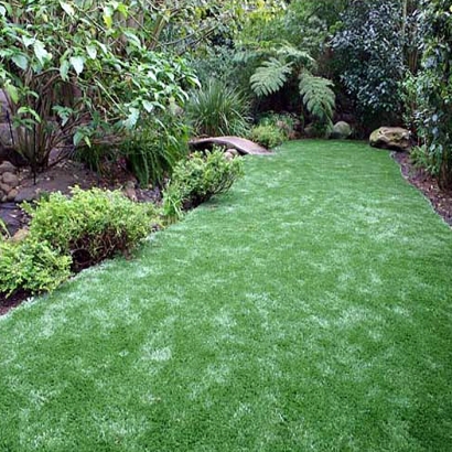 Fake Grass in Red Mesa, Arizona