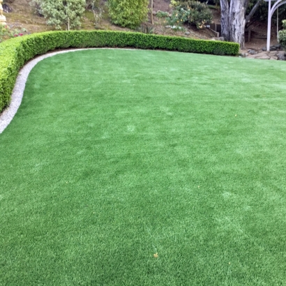 Artificial Grass Surprise, Arizona Landscape Design, Backyard Designs