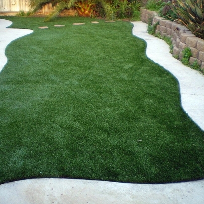 Best Artificial Turf in Tempe Junction, Arizona