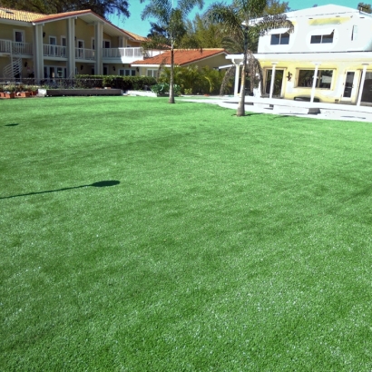 Synthetic Grass in Woodruff, Arizona