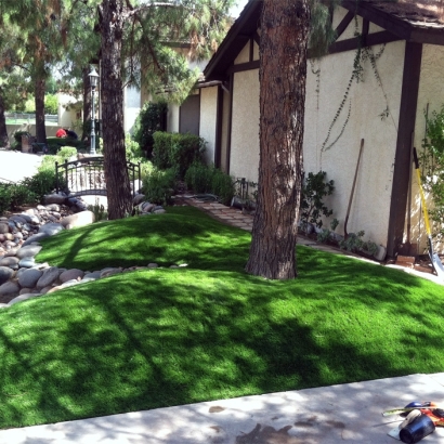 Artificial Grass in Aguila, Arizona