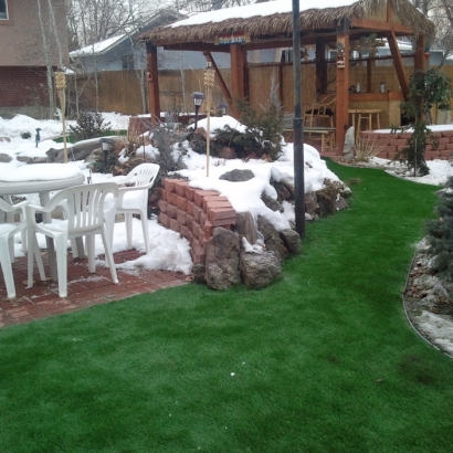 Artificial Turf Ak-Chin Village, Arizona Landscaping Business, Backyard Garden Ideas