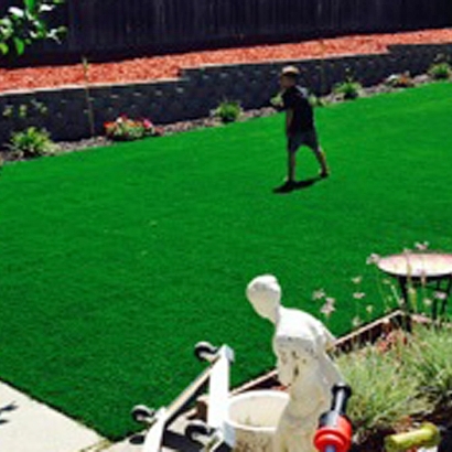 Artificial Grass in Cornfields, Arizona