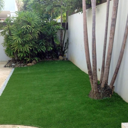 Artificial Grass in Arlington, Arizona