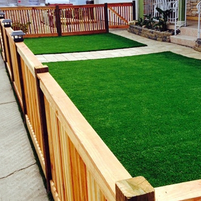 Artificial Grass in Littlefield, Arizona