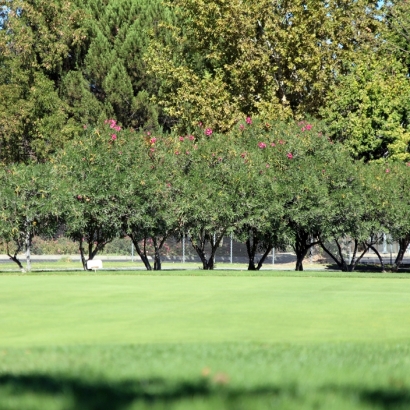 Putting Greens & Synthetic Lawn for Your Backyard in Cave Creek, Arizona