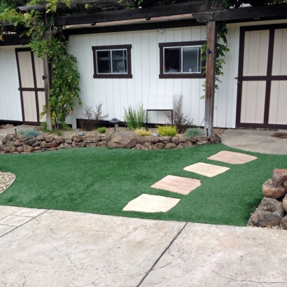 Artificial Turf in Freedom Acres, Arizona