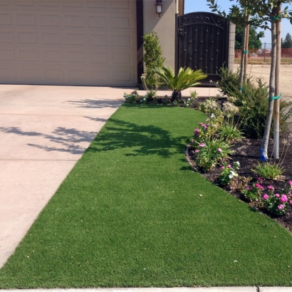 Synthetic Grass in Indian Wells, Arizona