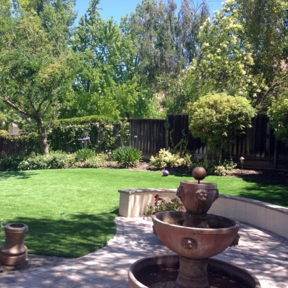 Backyard Putting Greens & Synthetic Lawn in Mesa del Caballo, Arizona