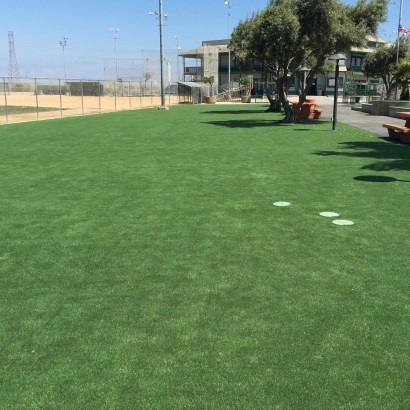 Artificial Grass in Wilhoit, Arizona