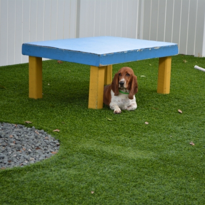 Artificial Turf Cost Roosevelt, Arizona Artificial Turf For Dogs, Dogs Park