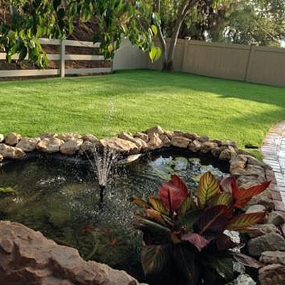 Artificial Turf in Hackberry, Arizona