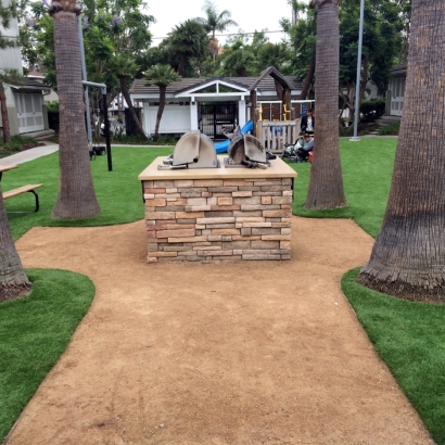 Artificial Grass in Wilhoit, Arizona