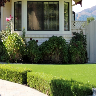 Artificial Grass in Hayden, Arizona