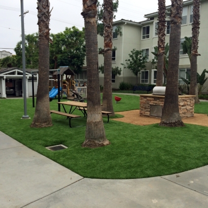 Artificial Turf in Freedom Acres, Arizona