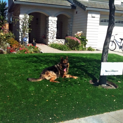 Backyard Putting Greens & Synthetic Lawn in Black Canyon City, Arizona