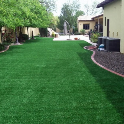 Artificial Grass in Pinal County, Arizona