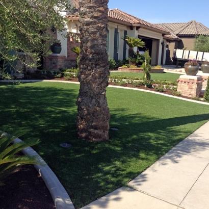 Fake Grass in Ajo, Arizona - Better Than Real