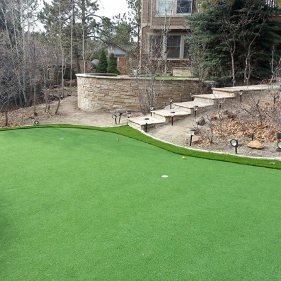 Fake Grass & Putting Greens in Low Mountain, Arizona