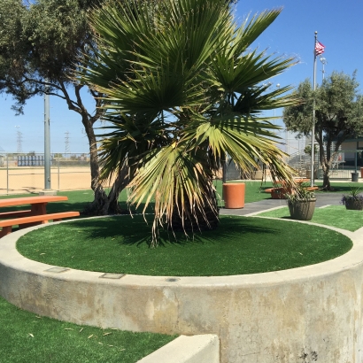 Artificial Grass in Spring Valley, Arizona