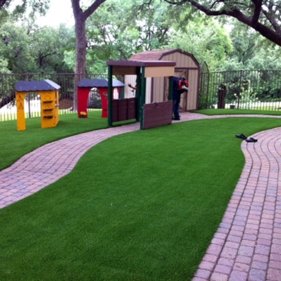 Synthetic Turf Depot in Dudleyville, Arizona