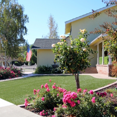 Artificial Grass in Tonopah, Arizona