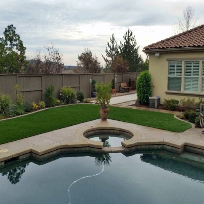 Artificial Turf Moenkopi, Arizona Lawn And Garden, Swimming Pool Designs