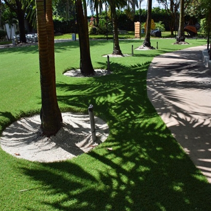 Outdoor Putting Greens & Synthetic Lawn in Nolic, Arizona