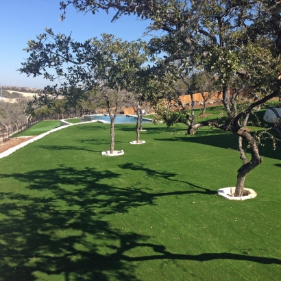 Artificial Turf Second Mesa, Arizona Putting Green Turf, Backyard Landscape Ideas