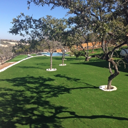 Fake Grass in First Mesa, Arizona