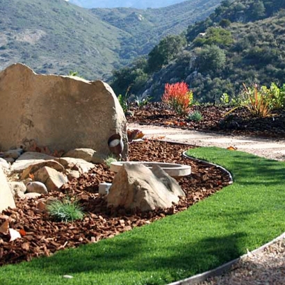 Artificial Turf Toyei, Arizona Lawns, Front Yard Landscaping Ideas