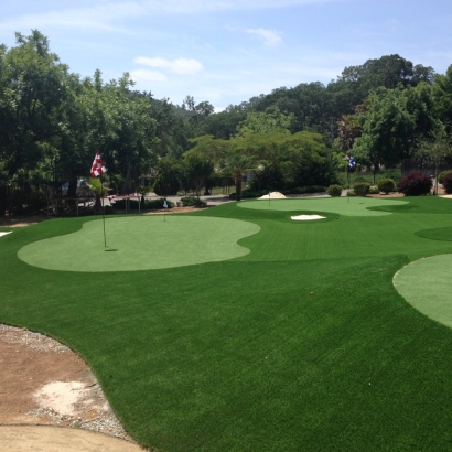 Indoor & Outdoor Putting Greens & Lawns Canyon Day, Arizona