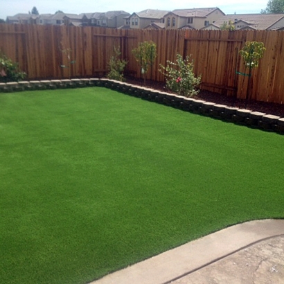 Synthetic Turf in Chiawuli Tak, Arizona