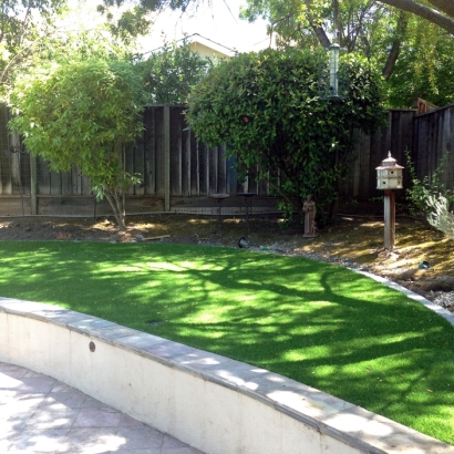 Synthetic Turf: Resources in Verde Village, Arizona
