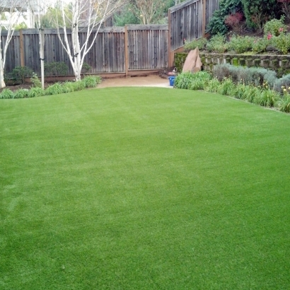 Fake Grass & Synthetic Putting Greens in Crozier, Arizona