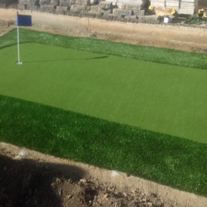 Artificial Grass in Gisela, Arizona