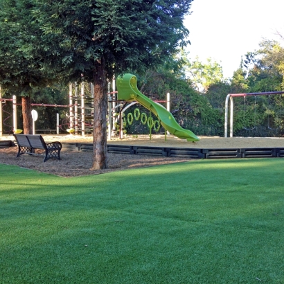 Artificial Grass in Heber-Overgaard, Arizona