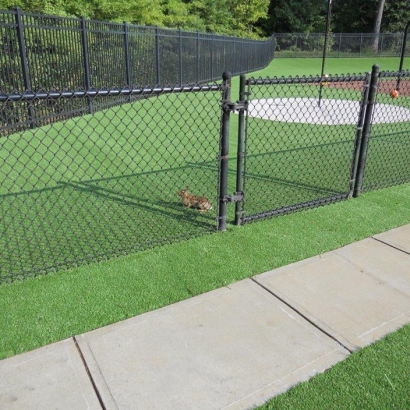 Synthetic Grass in Parks, Arizona