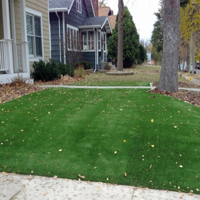 Synthetic Lawns & Putting Greens of McNary, Arizona