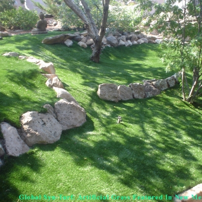 Artificial Turf in Scottsdale, Arizona