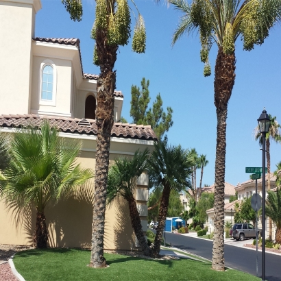 Synthetic Grass & Putting Greens in Somerton, Arizona