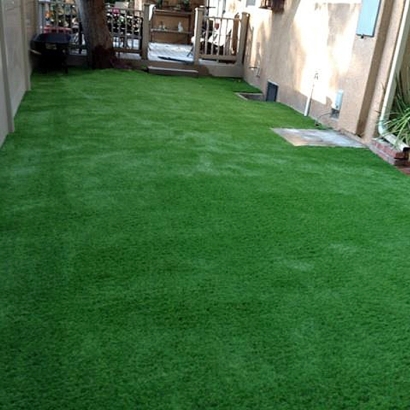 Synthetic Grass in Cactus Flat, Arizona