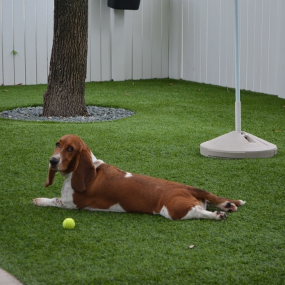 Putting Greens & Synthetic Lawn in Tat Momoli, Arizona