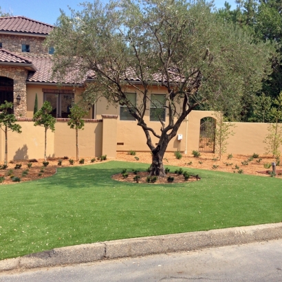 Synthetic Lawns & Putting Greens of Tucson Estates, Arizona