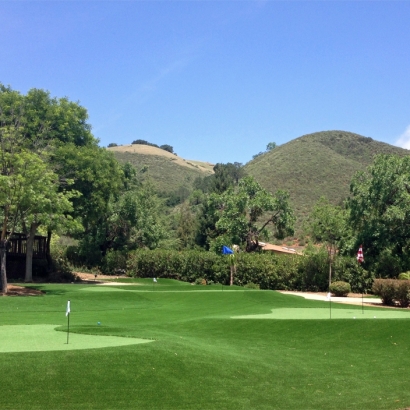 Fake Grass & Putting Greens in Vicksburg, Arizona