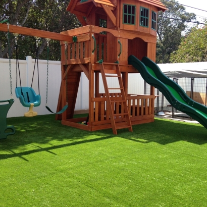 Fake Grass Arivaca, Arizona Kids Indoor Playground, Backyard Design